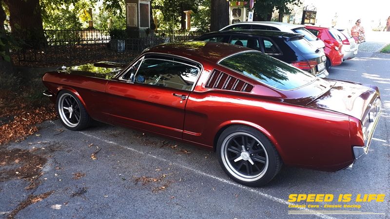 Mustang (3)